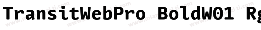 TransitWebPro BoldW01 Rg字体转换